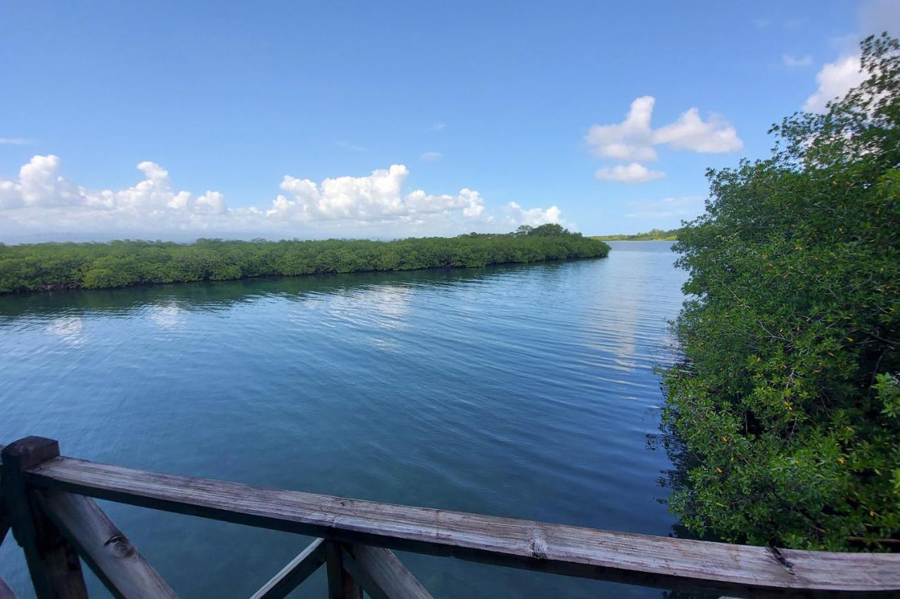The Sunsetter Bed & Breakfast Bocas Town Ngoại thất bức ảnh