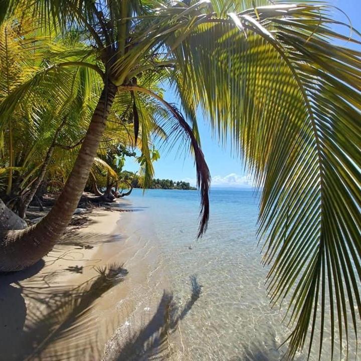 The Sunsetter Bed & Breakfast Bocas Town Ngoại thất bức ảnh
