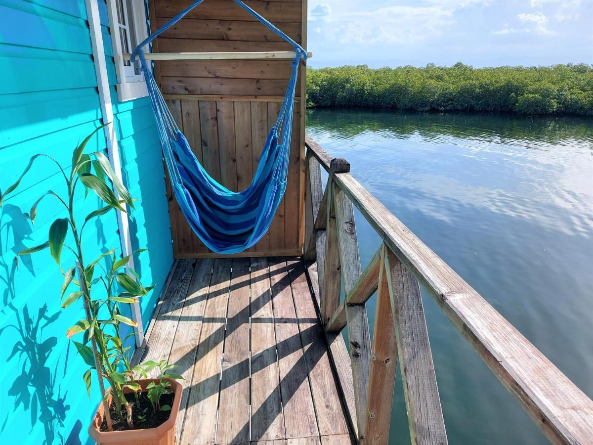 The Sunsetter Bed & Breakfast Bocas Town Ngoại thất bức ảnh